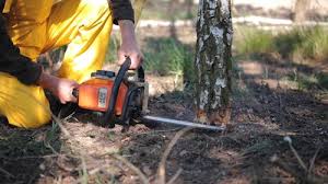 Lawn Irrigation Installation and Maintenance in Daphne, AL