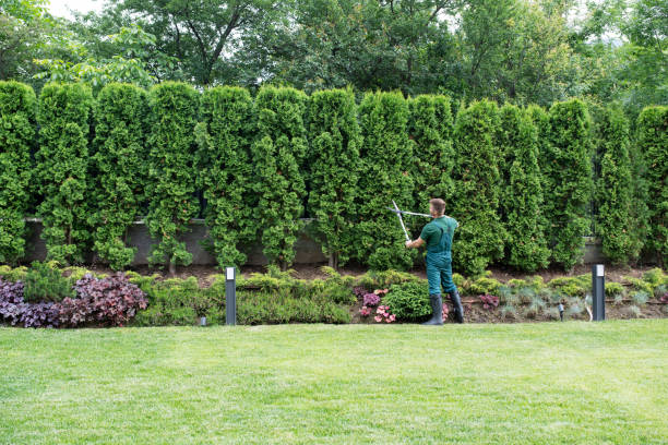Best Aeration Services  in Daphne, AL