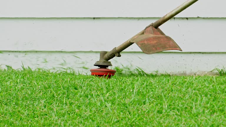 Best Leaf Removal  in Daphne, AL